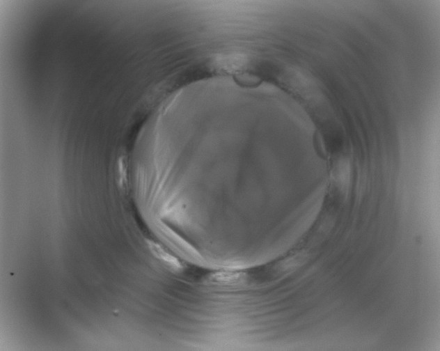 X0000068720526200605121455