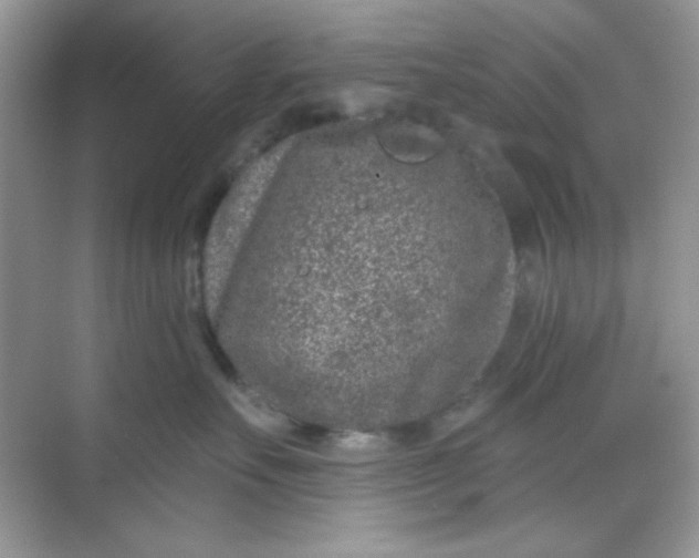 X0000068720527200605121455