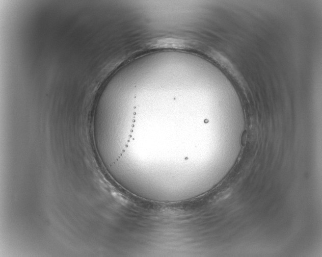 X0000068720529200605121454