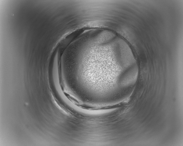 X0000068720530200605121454