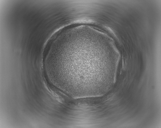 X0000068720531200605121454