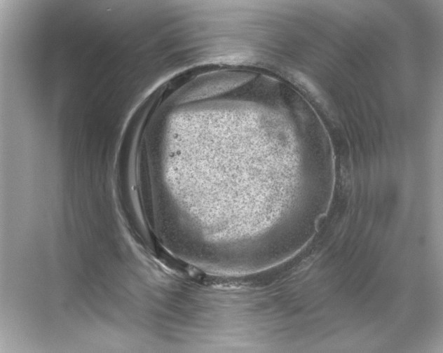 X0000068720532200605121454