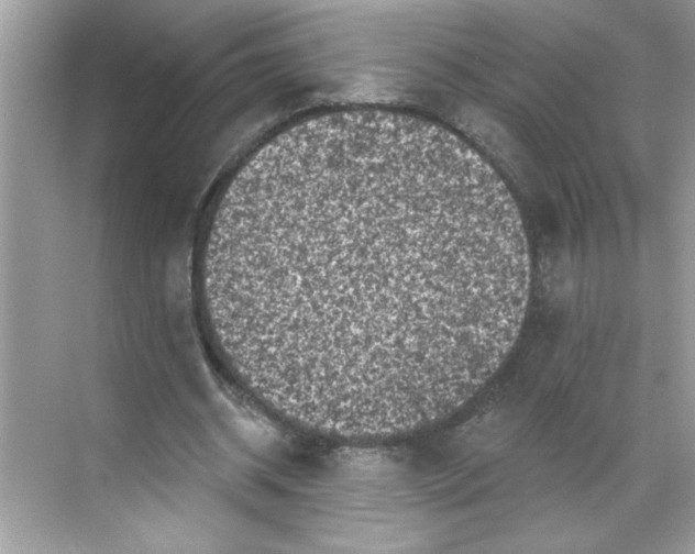 X0000068720534200605121454