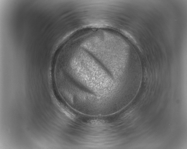 X0000068720535200605121454