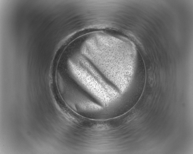 X0000068720536200605121454