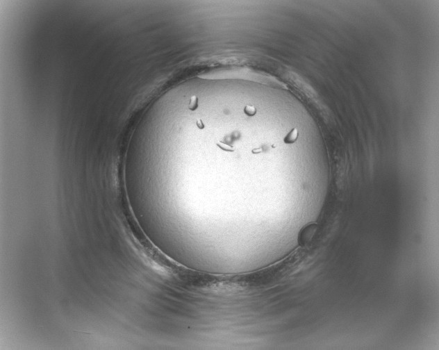 X0000068720537200605121454