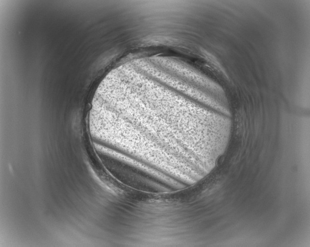 X0000068720538200605121454