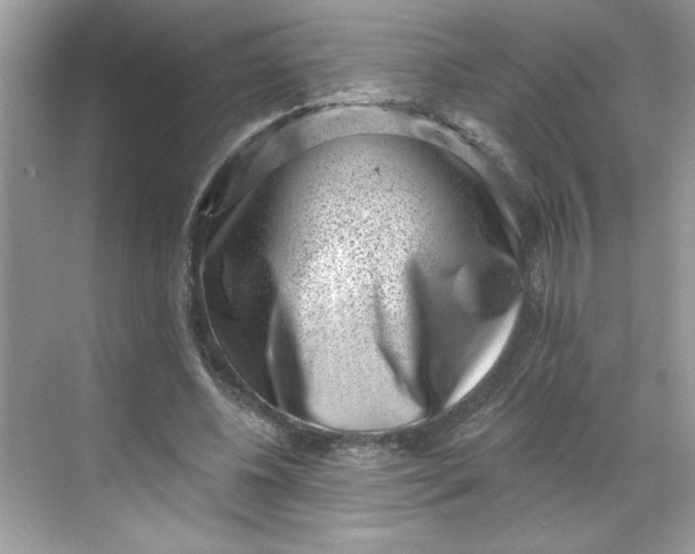 X0000068720540200605121455