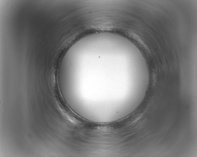 X0000068720541200605121455