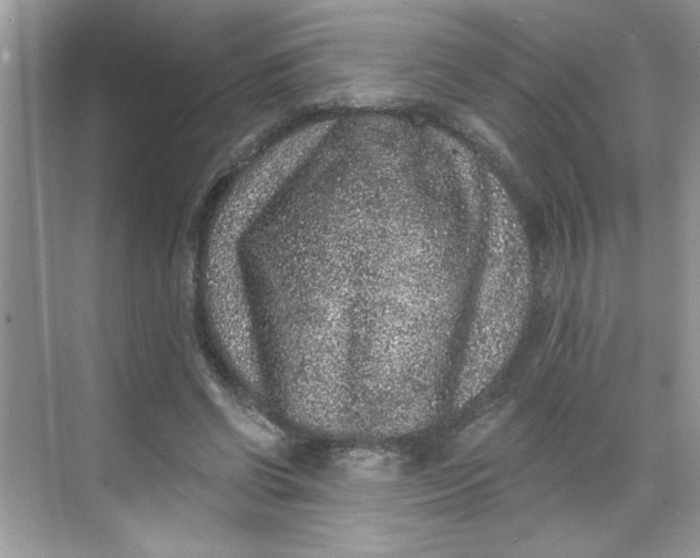 X0000068720542200605121455