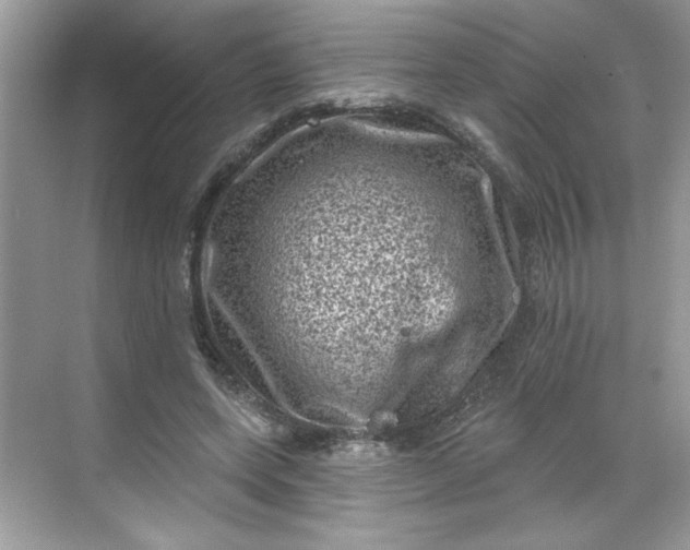 X0000068720543200605121455