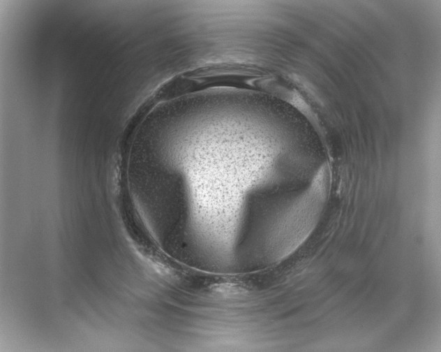 X0000068720544200605121455