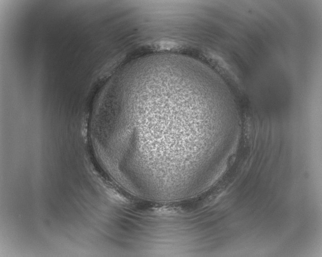 X0000068720545200605121455