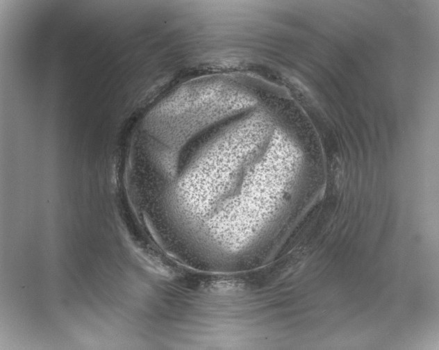 X0000068720546200605121455