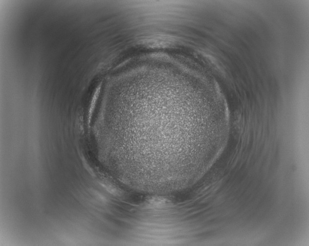 X0000068720547200605121455