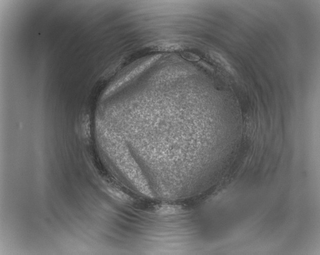 X0000068720549200605121455