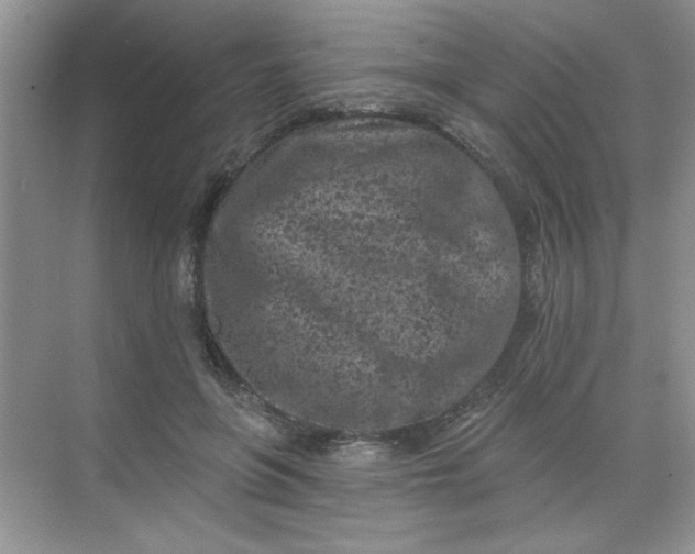 X0000068720551200605121455