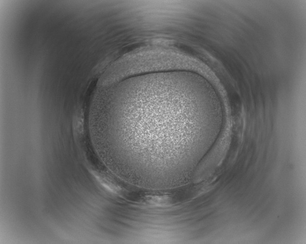 X0000068720552200605121455