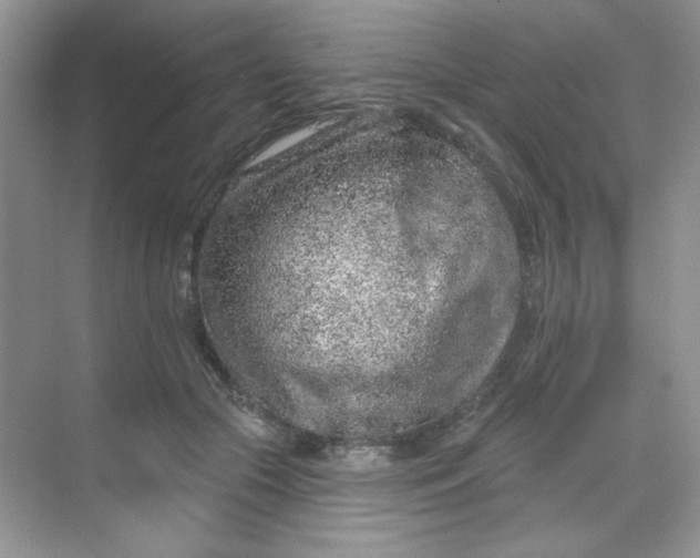 X0000068720553200605121455