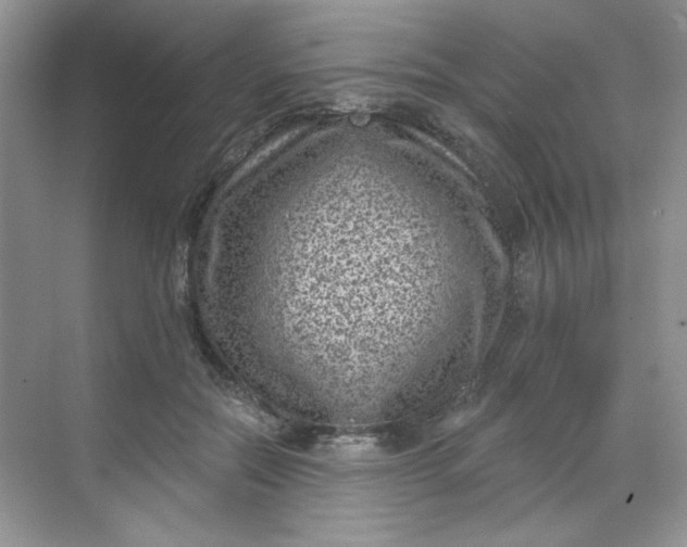 X0000068720554200605121455