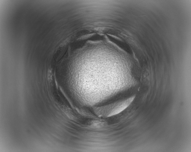 X0000068720555200605121455