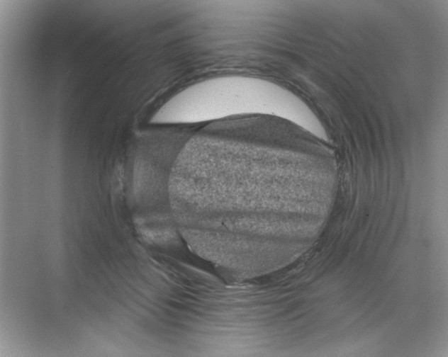 X0000068720556200605121455