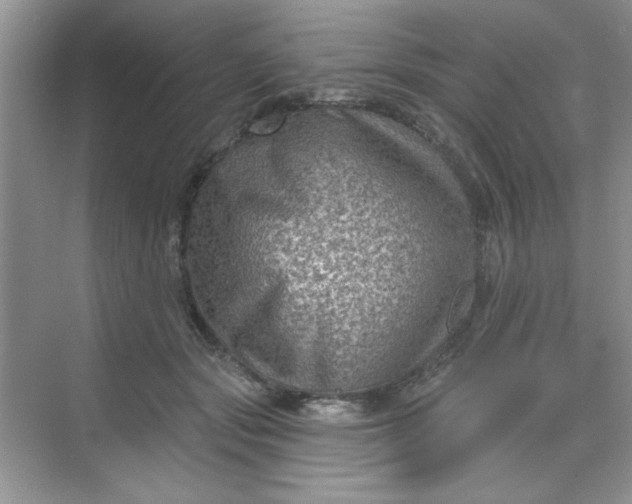 X0000068720557200605121455