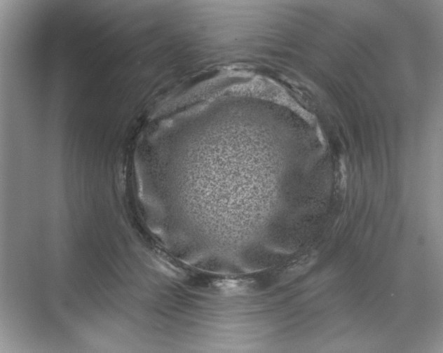 X0000068720558200605121455