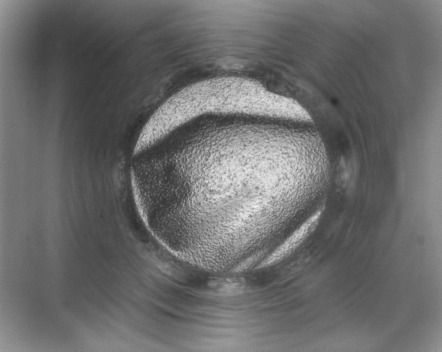 X0000068720559200605121455