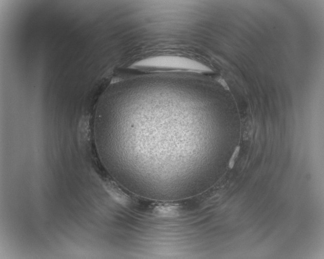 X0000068720560200605121455