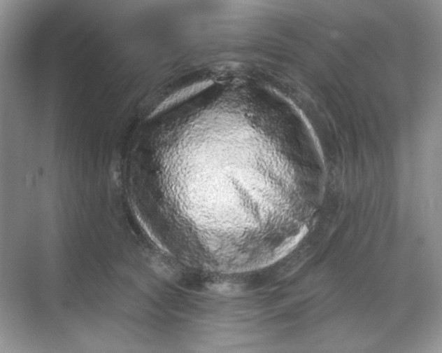 X0000068720561200605121455