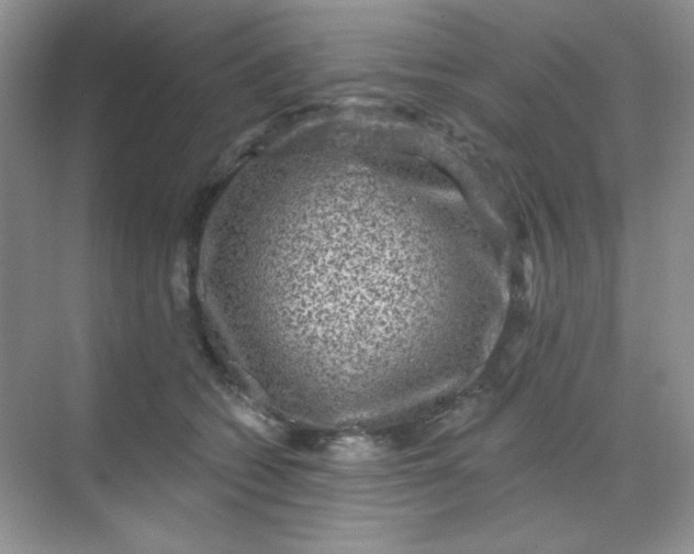 X0000068720562200605121455