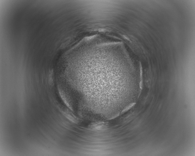 X0000068720563200605121455