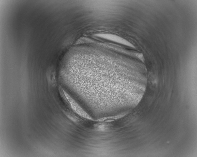 X0000068720564200605121455