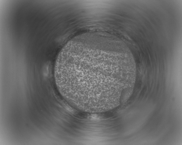 X0000068720565200605121455