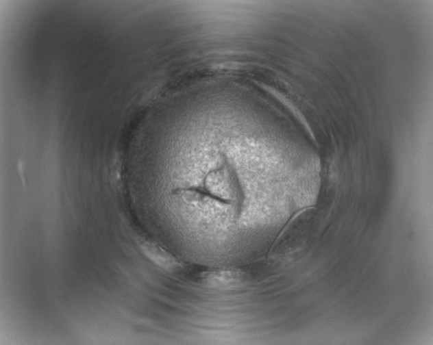 X0000068720567200605121455