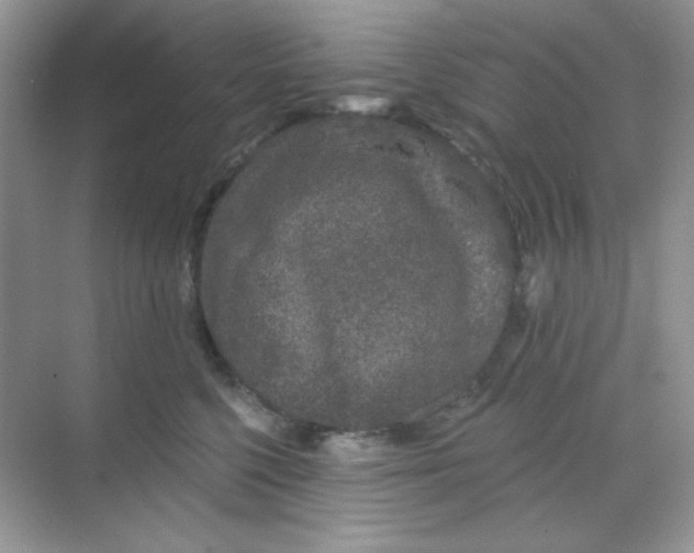 X0000068720568200605121455