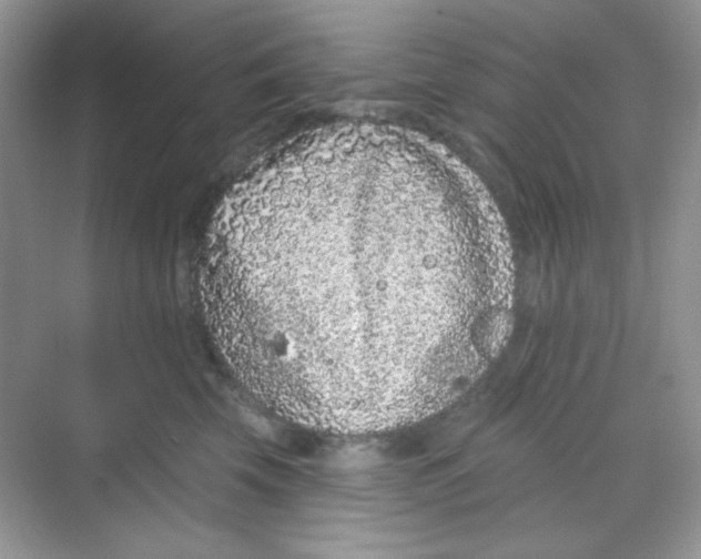 X0000068720569200605121455