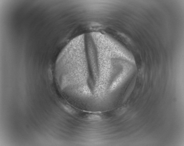 X0000068720572200605121455