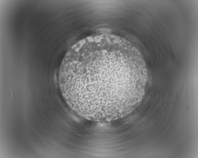 X0000068720573200605121455