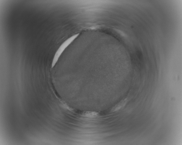 X0000068720576200605121455