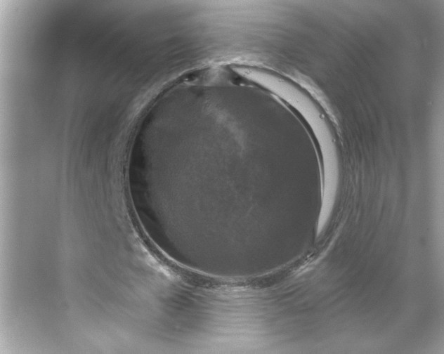 X0000068720577200605121454