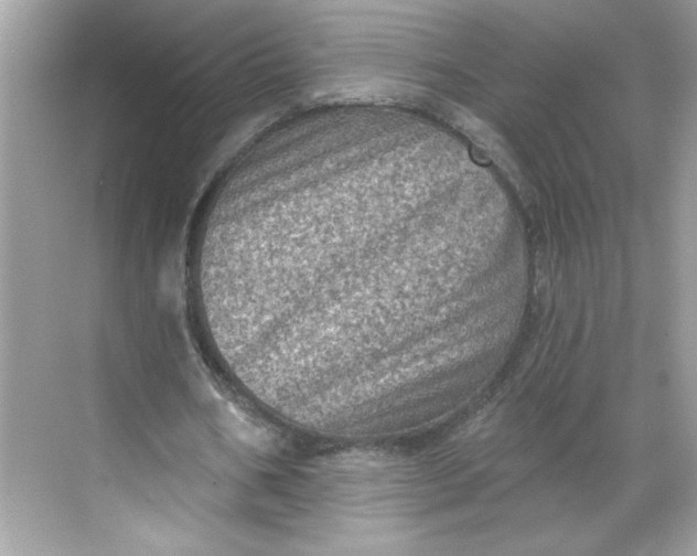 X0000068720578200605121454