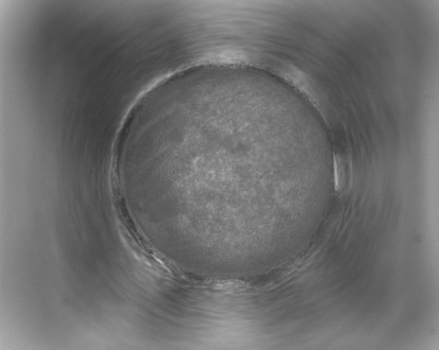 X0000068720579200605121454