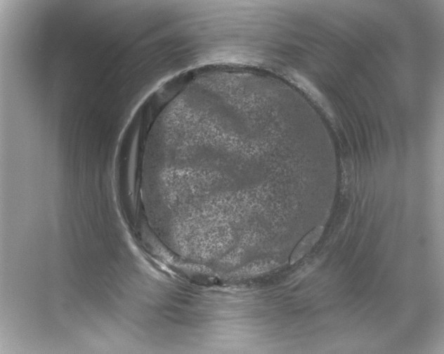 X0000068720580200605121454