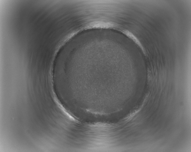 X0000068720581200605121454