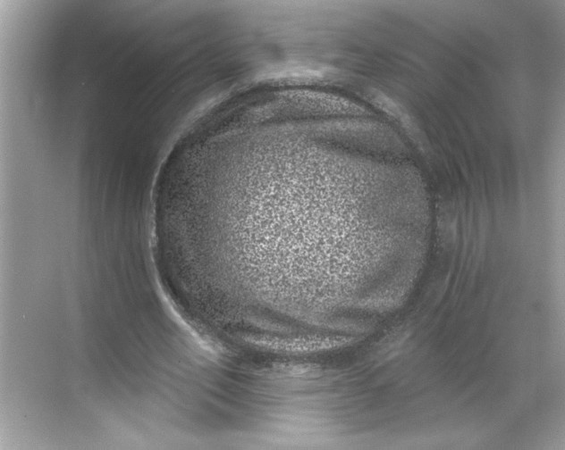 X0000068720582200605121454