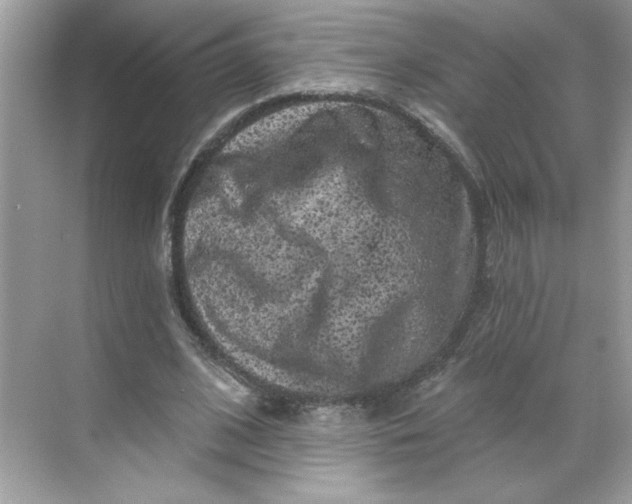 X0000068720584200605121454