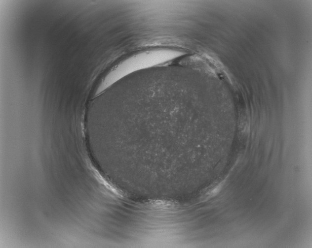 X0000068720585200605121454