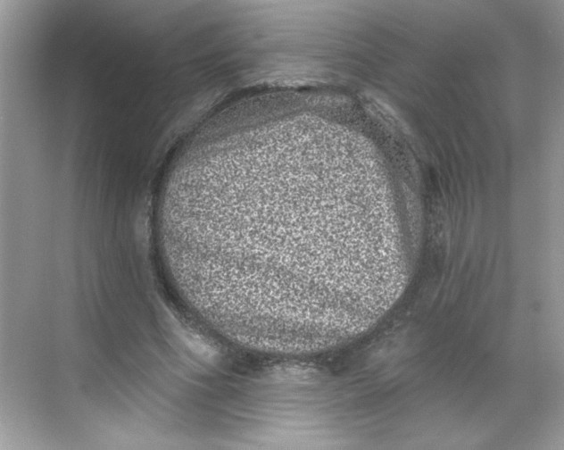 X0000068720586200605121454